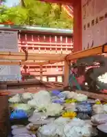津島神社の手水舎