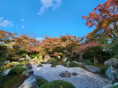 将軍塚青龍殿(青蓮院門跡)の庭園