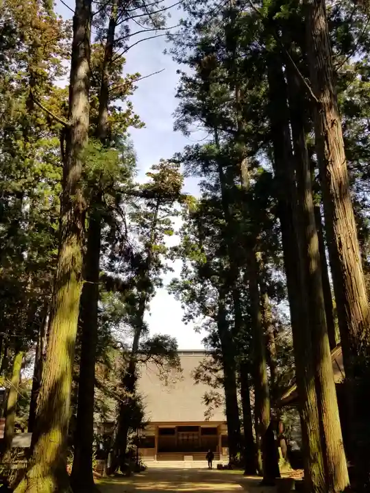 飯高寺のその他建物