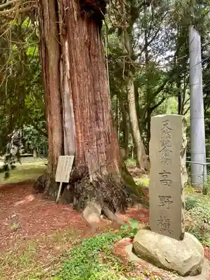 西明寺(栃木県)