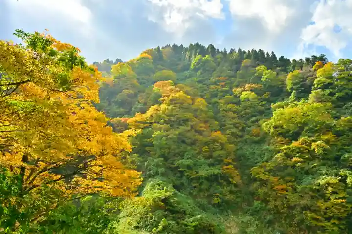妙龍神社(新潟県)