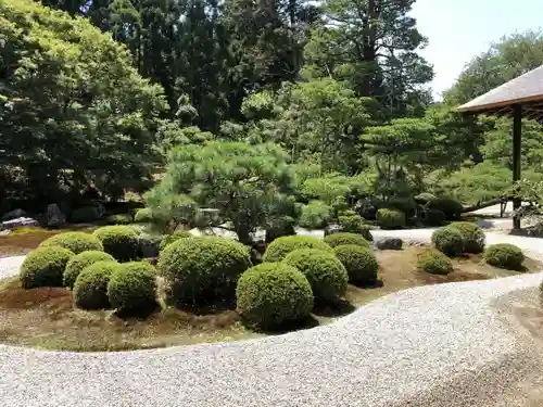 曼殊院門跡の庭園