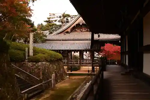 光明寺（粟生光明寺）(京都府)