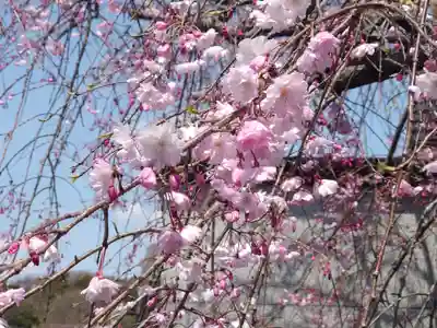 妙福寺(神奈川県)
