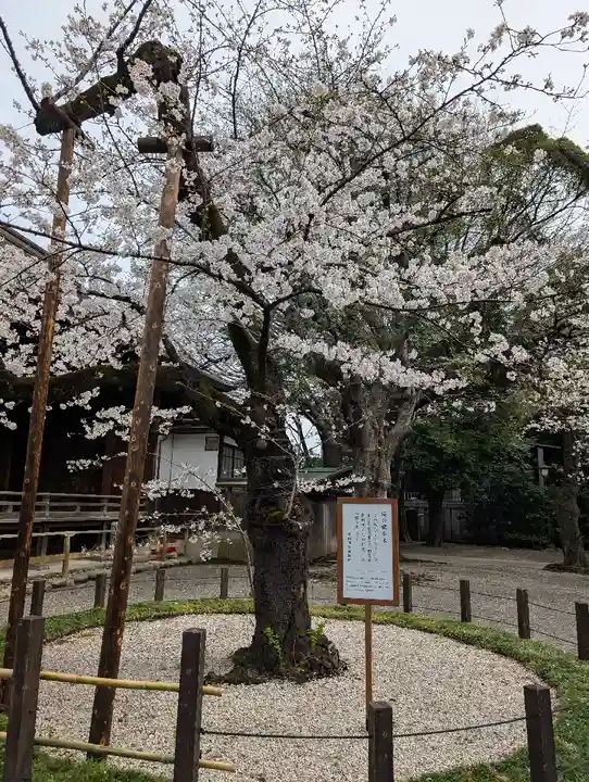 靖國神社(東京都)
