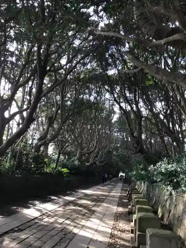 酒列磯前神社の景色