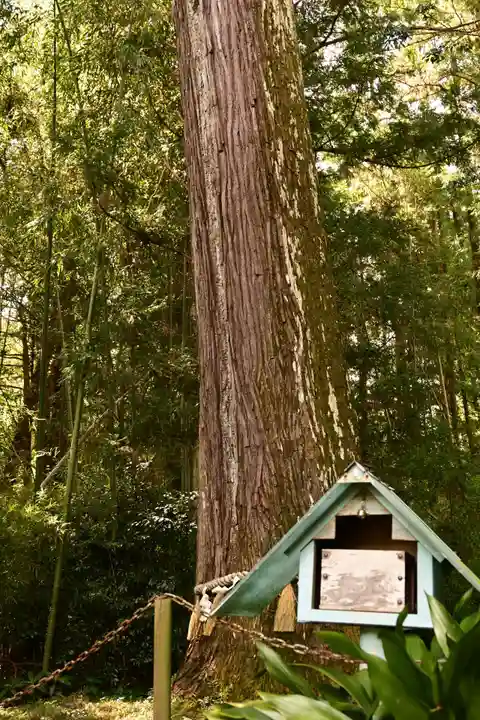 小村神社(高知県)