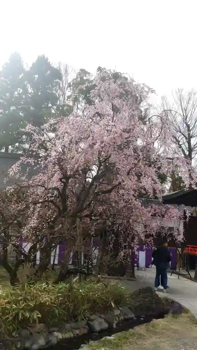 北野天満宮(京都府)