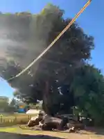 安養寺(千葉県)