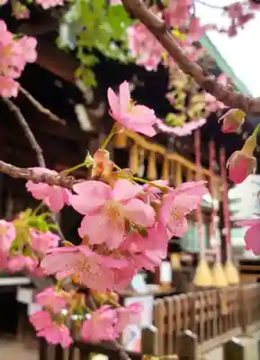 新宿下落合氷川神社(東京都)