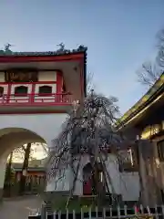 成願寺の建物その他