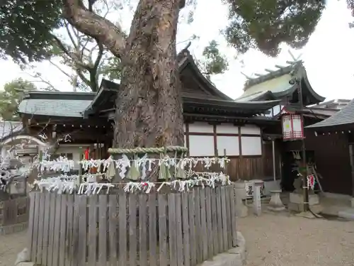 比枝神社(大阪府)