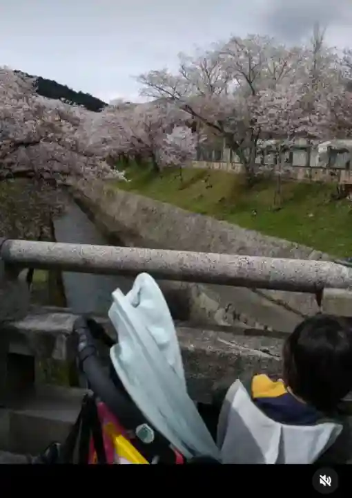 園城寺(三井寺)(滋賀県)