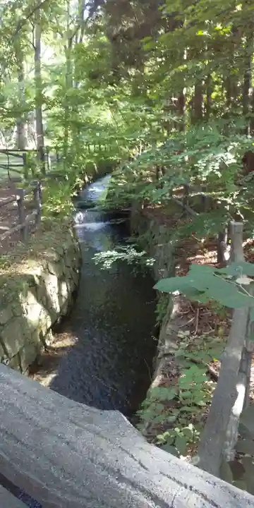 北海道神宮の庭園