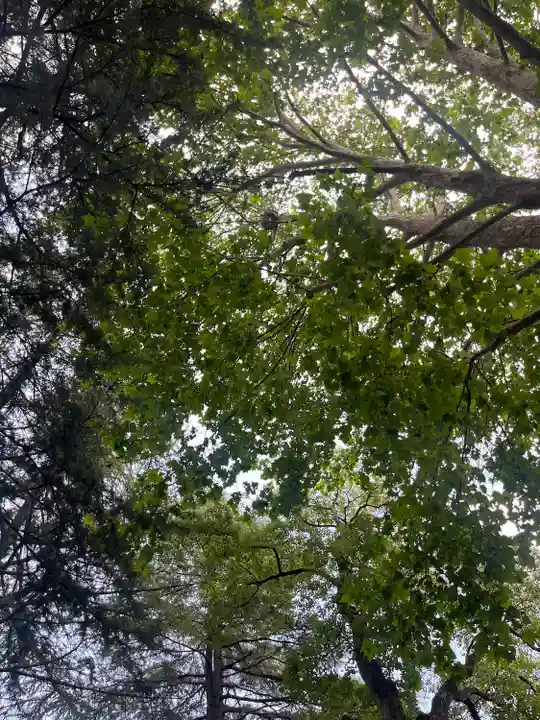 川口神社(埼玉県)