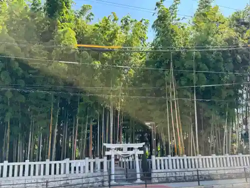 葛飾八幡宮(千葉県)