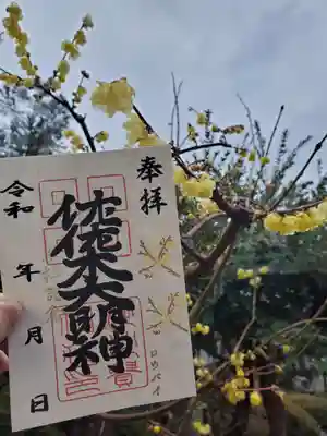 ②蝋梅(ろうばい) 佐佐木大明神