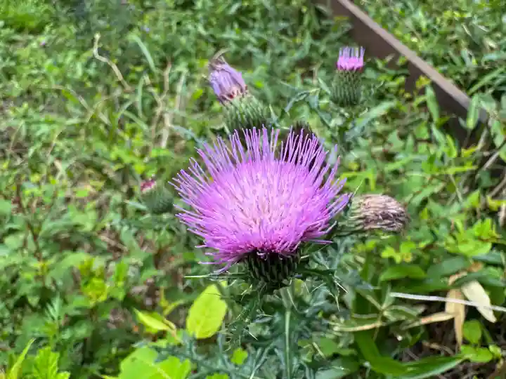 石鎚神社 中宮 成就社(愛媛県)