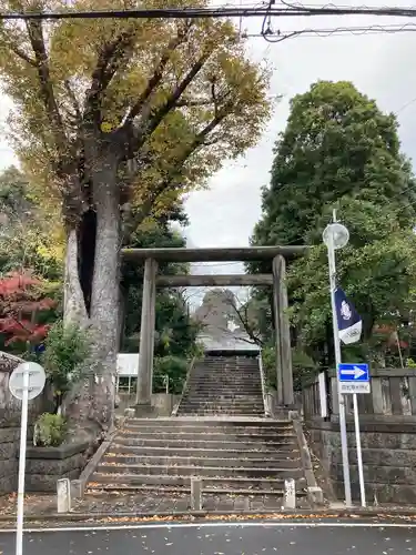 所澤神明社の鳥居