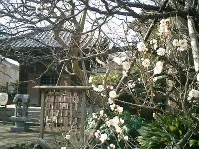 宝戒寺の本殿・本堂