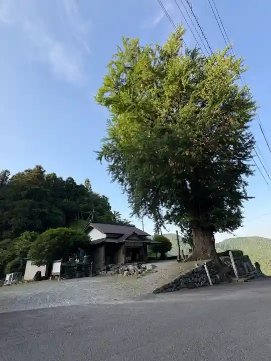 杖杉庵(徳島県)