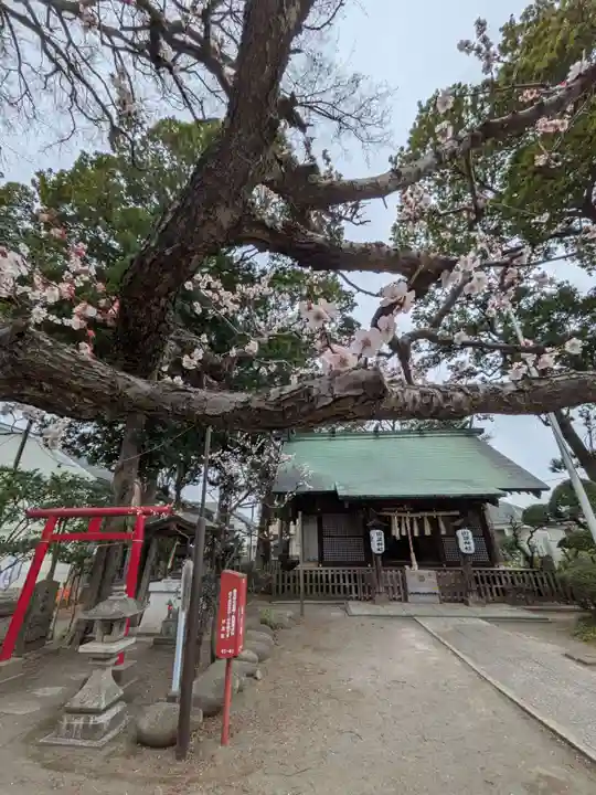田端神社(東京都)