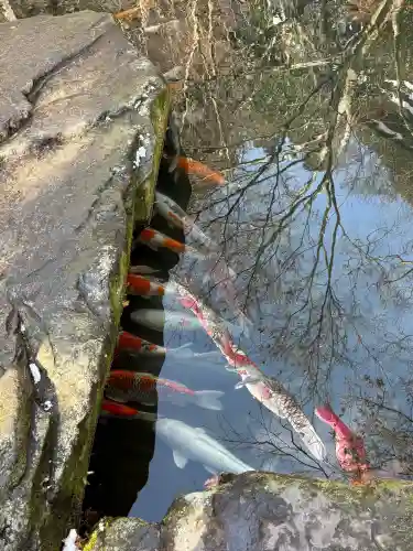 山賊魂稲成神社の{uncategorized: "未分類", other: "その他", undefined: "問題あり", building: "その他建物", grave: "お墓", sacred_gate: "鳥居", guardian: "狛犬", statue: "像", buddha: "仏像", history: "歴史", nature: "自然", garden: "庭園", animal: "動物", pagoda: "塔", temizu: "手水舎", mountain_gate: "山門・神門", sanctuary: "本殿・本堂", subordinate: "末社・摂社", art: "芸術", scenery: "景色", jizo: "地蔵", ema: "絵馬", goshuin: "御朱印", omikuji: "おみくじ", items: "授与品その他", amulet: "お守り", goshuincho: "御朱印帳", eats: "食事", festival: "お祭り", votive_dance: "神楽", shichigosan: "七五三参", wedding: "結婚式", experience: "体験その他", initially: "初詣", around: "周辺", anti_infection: "感染症対策"}