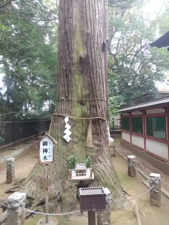 一言主神社(茨城県)
