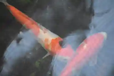 久留里神社のその他建物