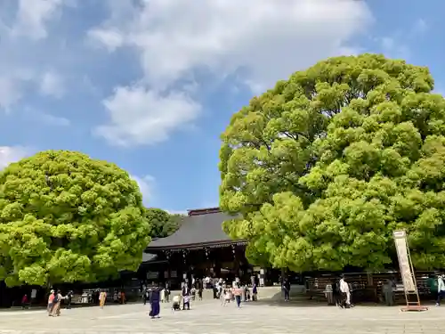 明治神宮(東京都)