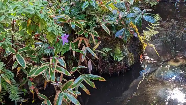 来迎院(京都府)