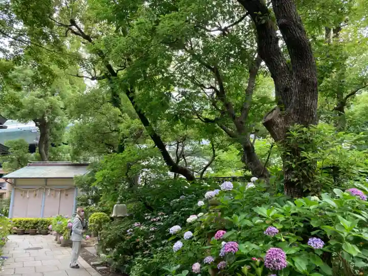 坐摩神社(大阪府)