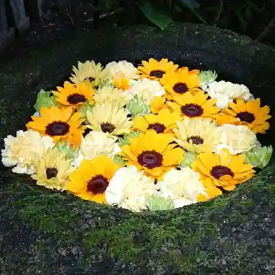 菅生神社の手水舎