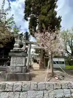 才の木神社(広島県)
