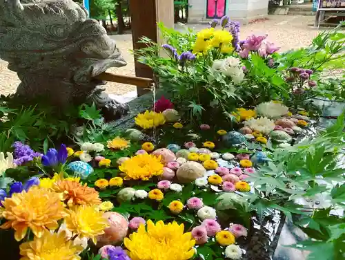 滑川神社 - 仕事と子どもの守り神の手水