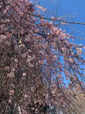 百品神社(群馬県)