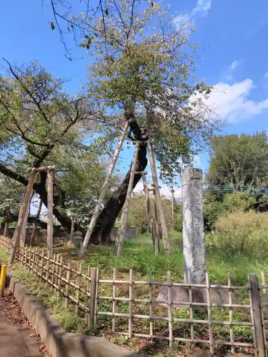 東光寺(埼玉県)