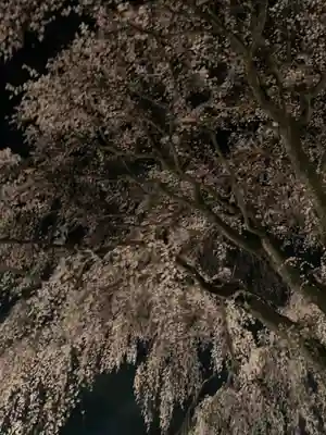 妙道寺(栃木県)