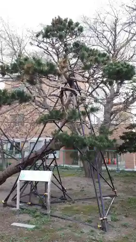 江南神社(北海道)