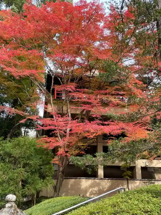 今熊野観音寺の自然