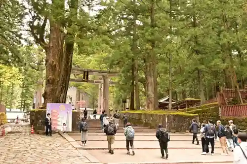 日光東照宮(栃木県)