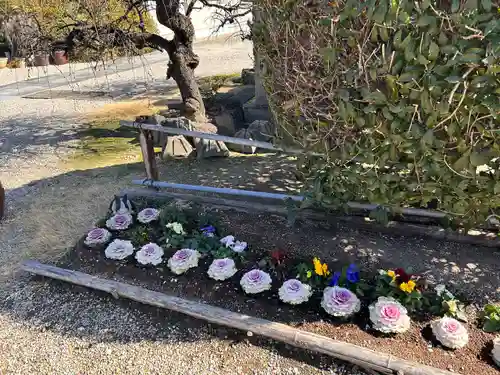 正等山 円福寺(愛知県)