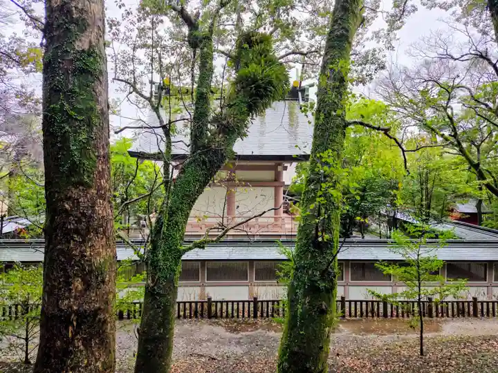 照國神社(鹿児島県)