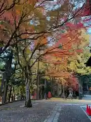 日枝神社(岐阜県)