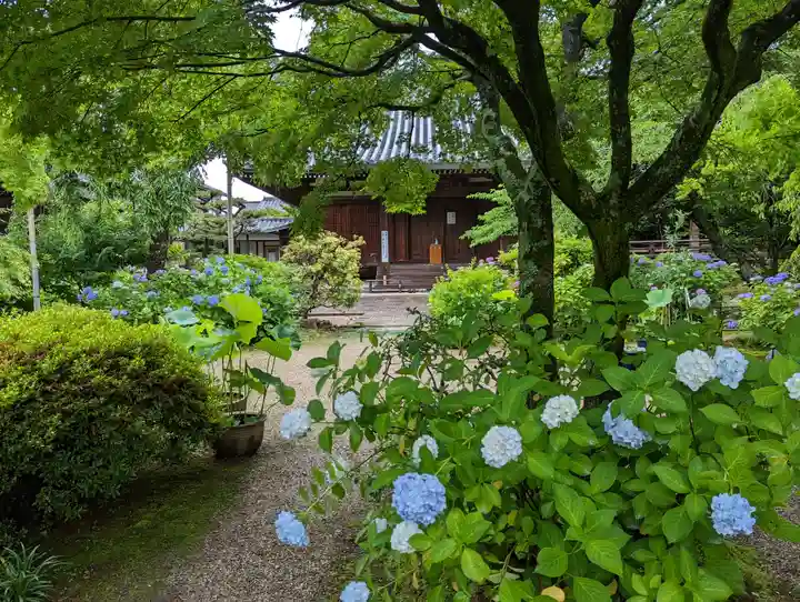 法金剛院(京都府)
