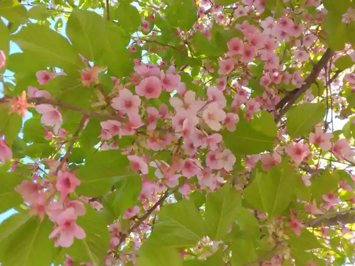 安禅寺(新潟県)