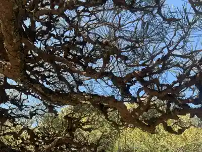 妙昌寺の{uncategorized: "未分類", other: "その他", undefined: "問題あり", building: "その他建物", grave: "お墓", sacred_gate: "鳥居", guardian: "狛犬", statue: "像", buddha: "仏像", history: "歴史", nature: "自然", garden: "庭園", animal: "動物", pagoda: "塔", temizu: "手水舎", mountain_gate: "山門・神門", sanctuary: "本殿・本堂", subordinate: "末社・摂社", art: "芸術", scenery: "景色", jizo: "地蔵", ema: "絵馬", goshuin: "御朱印", omikuji: "おみくじ", items: "授与品その他", amulet: "お守り", goshuincho: "御朱印帳", eats: "食事", festival: "お祭り", votive_dance: "神楽", shichigosan: "七五三参", wedding: "結婚式", experience: "体験その他", initially: "初詣", around: "周辺", anti_infection: "感染症対策"}
