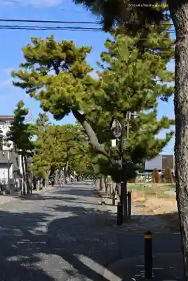 鶴嶺八幡宮のその他建物