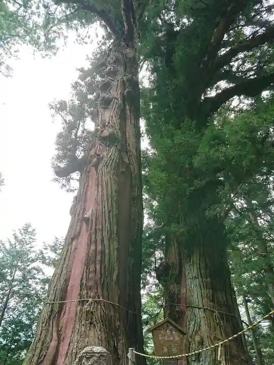 塩原八幡宮の自然