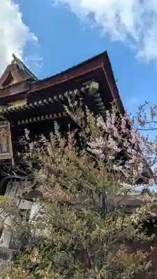 北野天満宮(京都府)